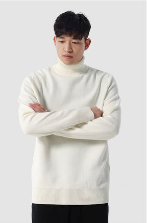 Rollkragenpullover